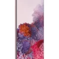 Samsung Galaxy S20