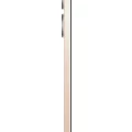 Vivo Y100
