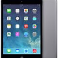 Apple iPad mini 2