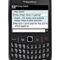 BlackBerry Curve 8530