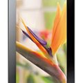 Huawei MediaPad 7 Youth2