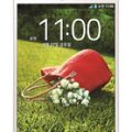 LG Vu 3 F300L
