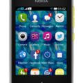Nokia Asha 502 Dual SIM