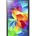 Samsung Galaxy S5 mini Duos