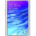 Samsung Z1